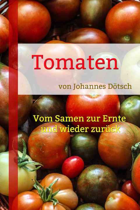 Tomaten: Vom Samen zur Ernte und wieder zurück